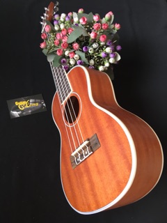 Đàn Ukulele Concert Giá Rẻ CB1