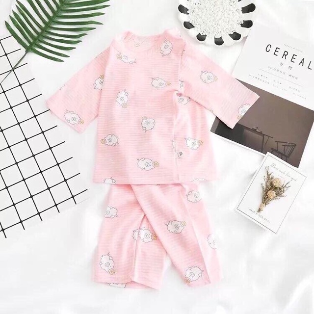 Bộ cotton giấy BT&BG
