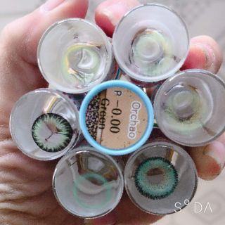 lens xanh lá