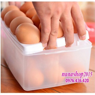 Hộp dựng trứng 24 quả
