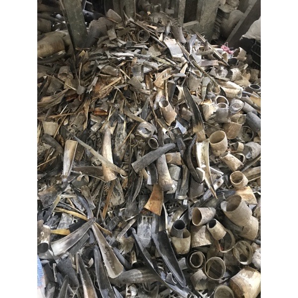 Nẹp Sừng Trâu HAHANCO (Phân Hữu Cơ) Bón Cây Cảnh/Ăn Quả/ Rau Sạch - OTH036