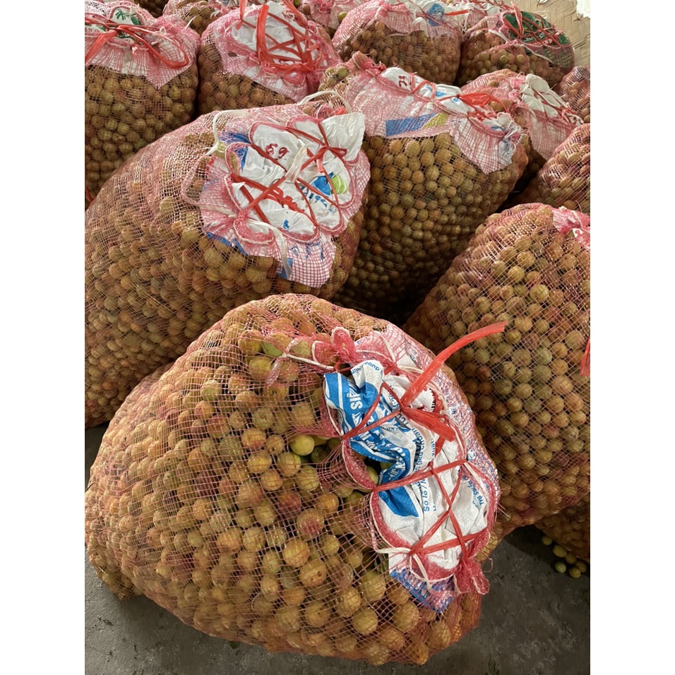 Omai  Mơ sấy dẻo chua ngọt XMT  - hũ 500gram- - Đặc Sản Tây Bắc