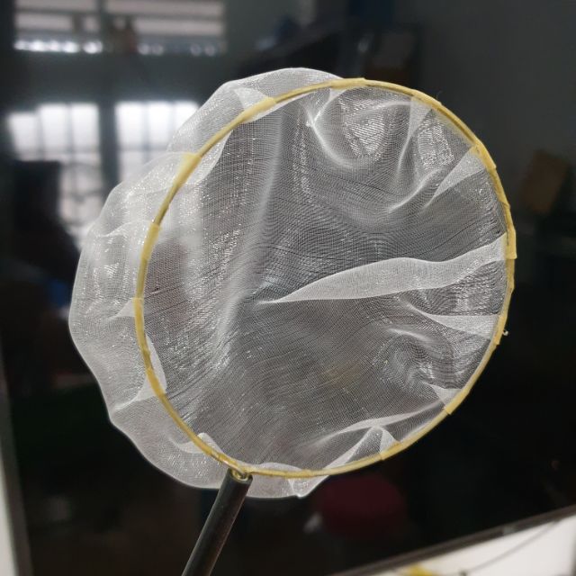 Vợt show cá siêu vip