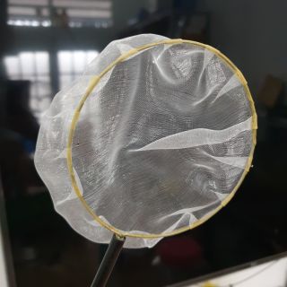 Vợt show cá siêu vip
