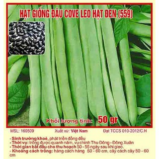 Bán buôn- Hạt giống đậu cove lùn hạt đen gói 50 gram xuất xứ Việt Nam hàng đẹp, nhập khẩu.