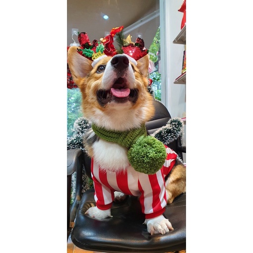 Áo thun Noel dành cho thú cưng chó mèo