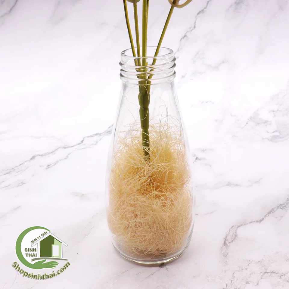 Sợi sơ dừa tự nhiên làm tổ chim, lót hộp đựng quà, lót hộp đựng hộp rượu vang