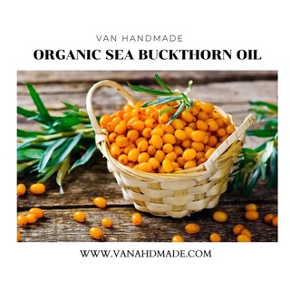 Dầu hắc mai biển hữu cơ organic sea buckthorn oil