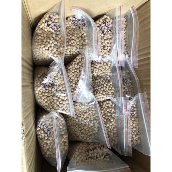 ĐẬU GÀ TRẮNG CANADA 9mm