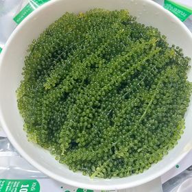 Combo nhiều gói rong 50g nở 150g kèm xốt, giá rẻ + freeship Hana Farm