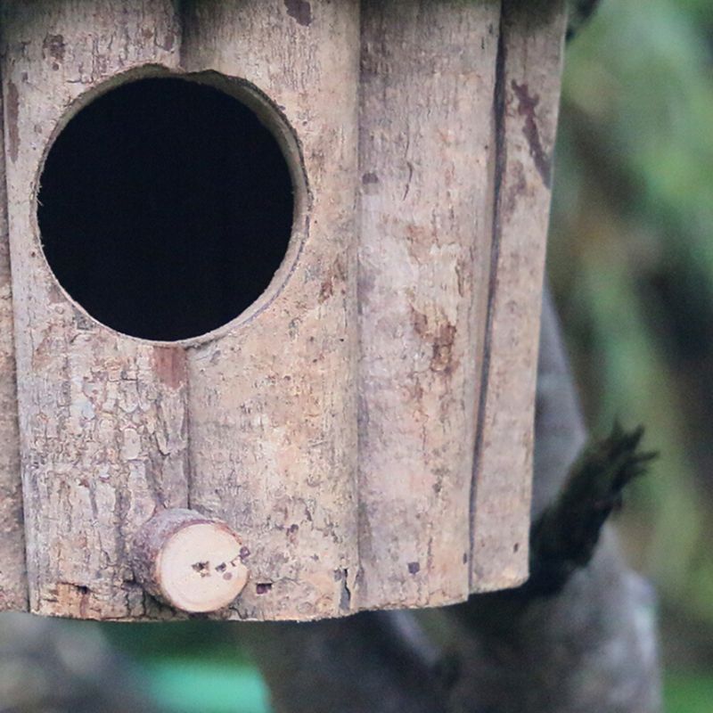 Ngôi nhà chim bằng gỗ hình tròn làm thủ công bảo vệ môi trường chống nhiễm khuẩn