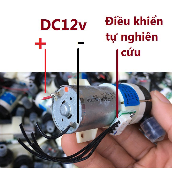 Máy sục khí, Ozone 12v hoặc 220v
