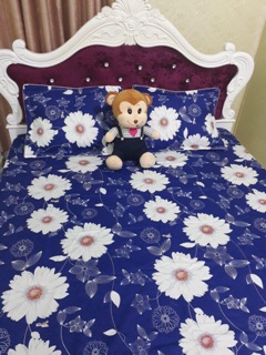 Ga gối cotton thắng lợi