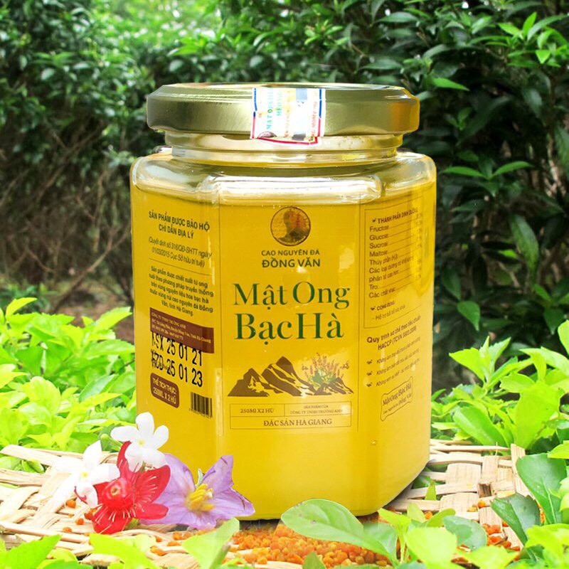 (FREE SKIP) MẬT ONG BẠC HÀ 500ml (Mint Bee)