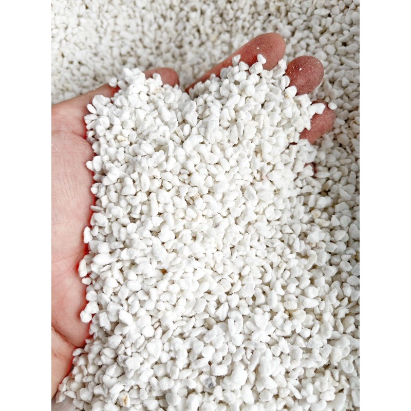 Đất trồng sen đá trộn sẵn   -  Đất chuyên dụng cho sen đá xứ nóng