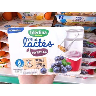 Sữa chua Bledina Pháp 6h*60gram