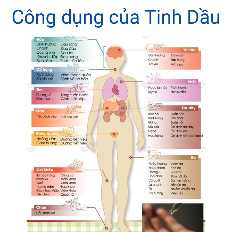 Tinh dầu thơm phòng ngủ đuổi muỗi côn trùng mùi Bạc Hà hương thiên nhiên lọ 10ml MỘC Mitauto