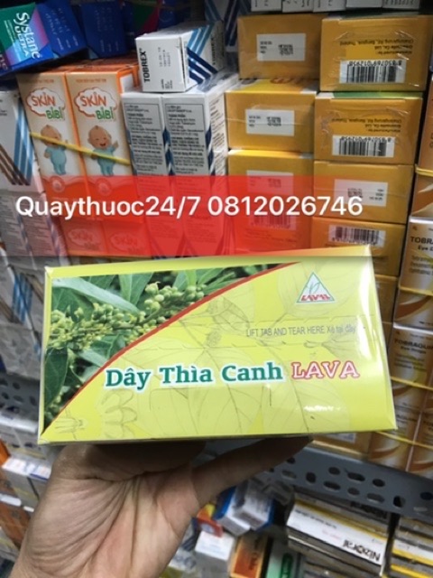 TRÀ DÂY THÌA CANH LAVA