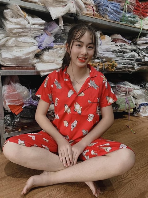 Bộ pizama ngố hình cute cực đáng yêu 😍FREESHIP😍 | BigBuy360 - bigbuy360.vn