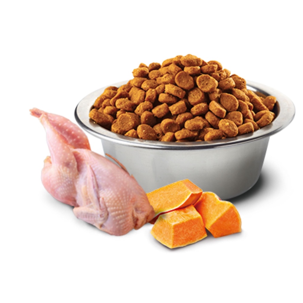 N&D - HẠT CAO CẤP CHO MÈO TỪ Ý