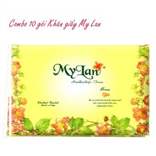 Khăn giấy mỹ lan dạng ví đôi