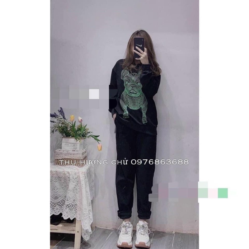 Áo nỉ chó lưới TT7
