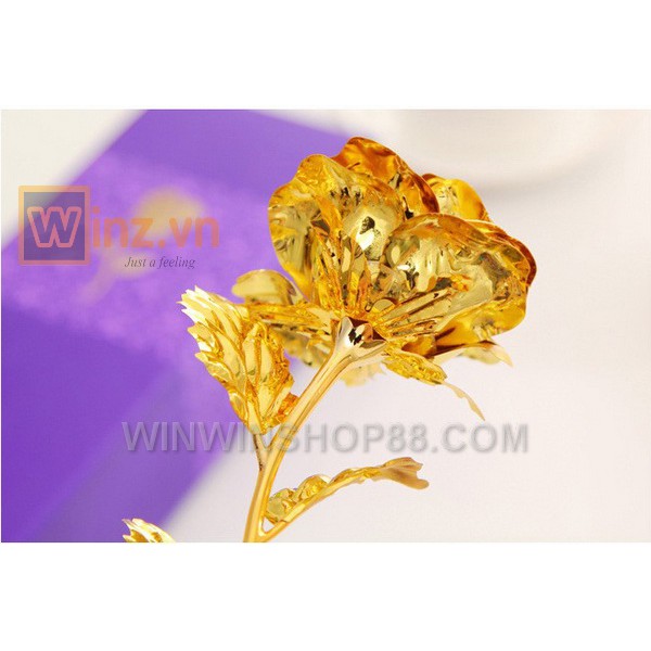 Hoa hồng mạ vàng 24K có đế bông màu vàng - winz.vn