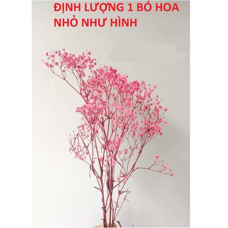 Hoa baby ướp ❤️FREESHIP❤️ Gypsophila hoa khô trang trí phòng ngủ, làm đồ handmade