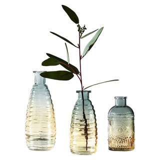 Bình thủy tinh trang trí cây xanh ( 22cm )