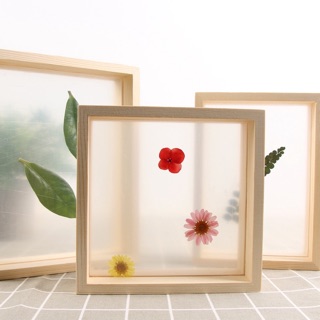 Khung hình 20x20 2 mặt kính!