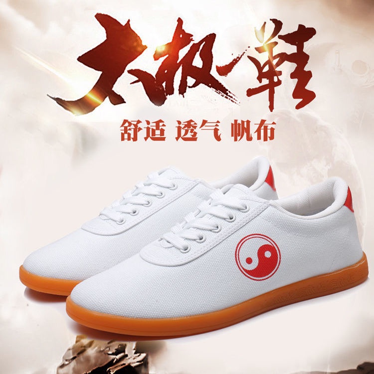 Giày Thể Thao Tập Thái Cực Quyền Bằng Vải Canvas Thời Trang Mùa Hè Dành Cho Nam Và Nữ