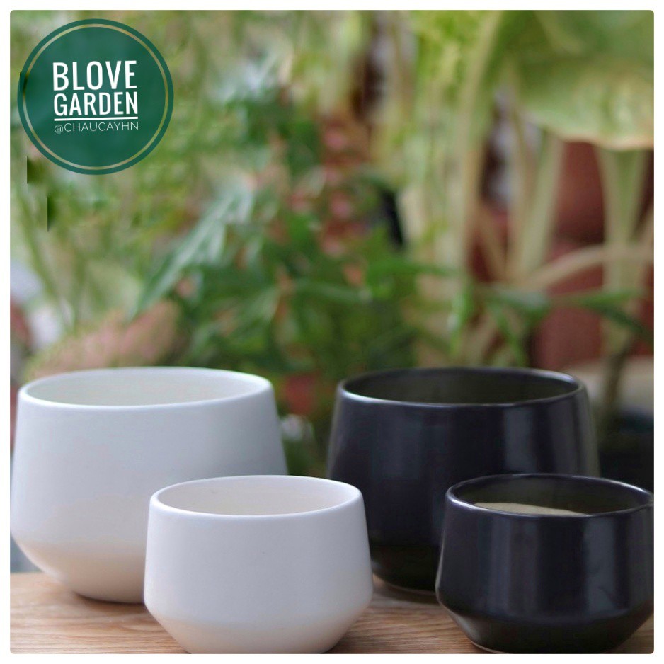 (6x8cm) Chậu kim cương thấp cao 6 cm trồng cây Để Bàn, Cây Nội Thất, Sen Đá, Xương rồng, Cây Bonsai