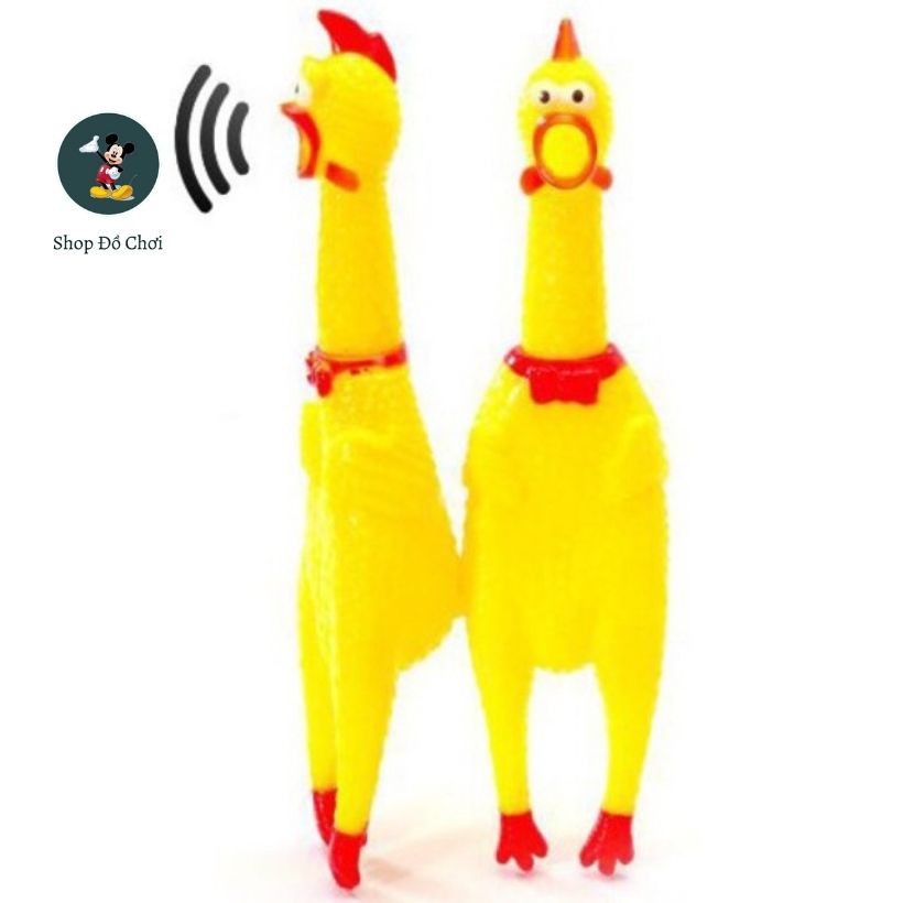 Gà tây shrilling chicken cao 37 cm