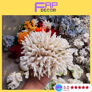 Bông Rạn San Hô Biển Nhánh Nhọn Siêu Xinh Dùng Decor Bể Cá, Thủy Sinh, Trang Trí Nhà Cửa Kệ Tủ - FapFood