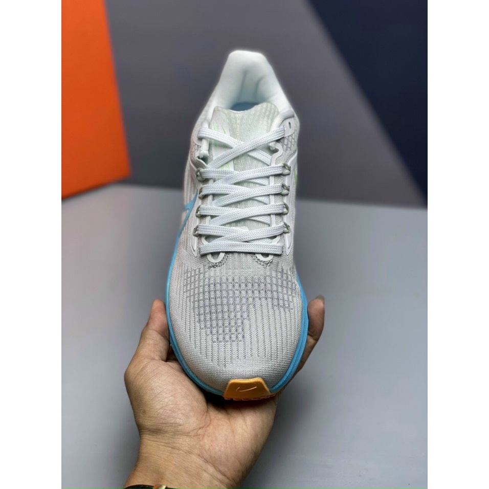 Giày Thể Thao Nike Pegasus 39