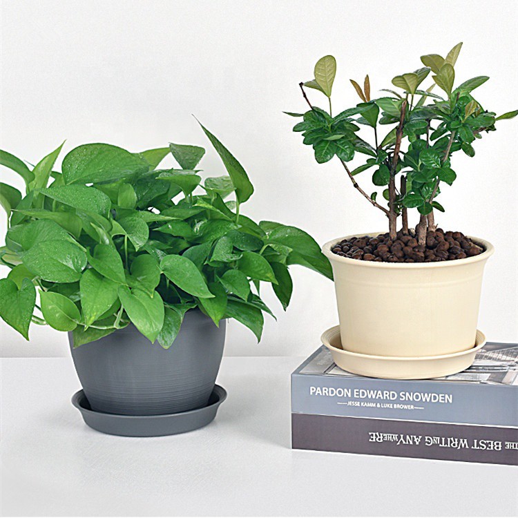 Chậu trồng hoa ngoài trời cao cấp- nhiều màu, siêu dày, siêu bền bỉ