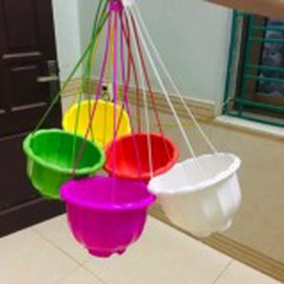 Chậu có quai treo rộng 22cm
