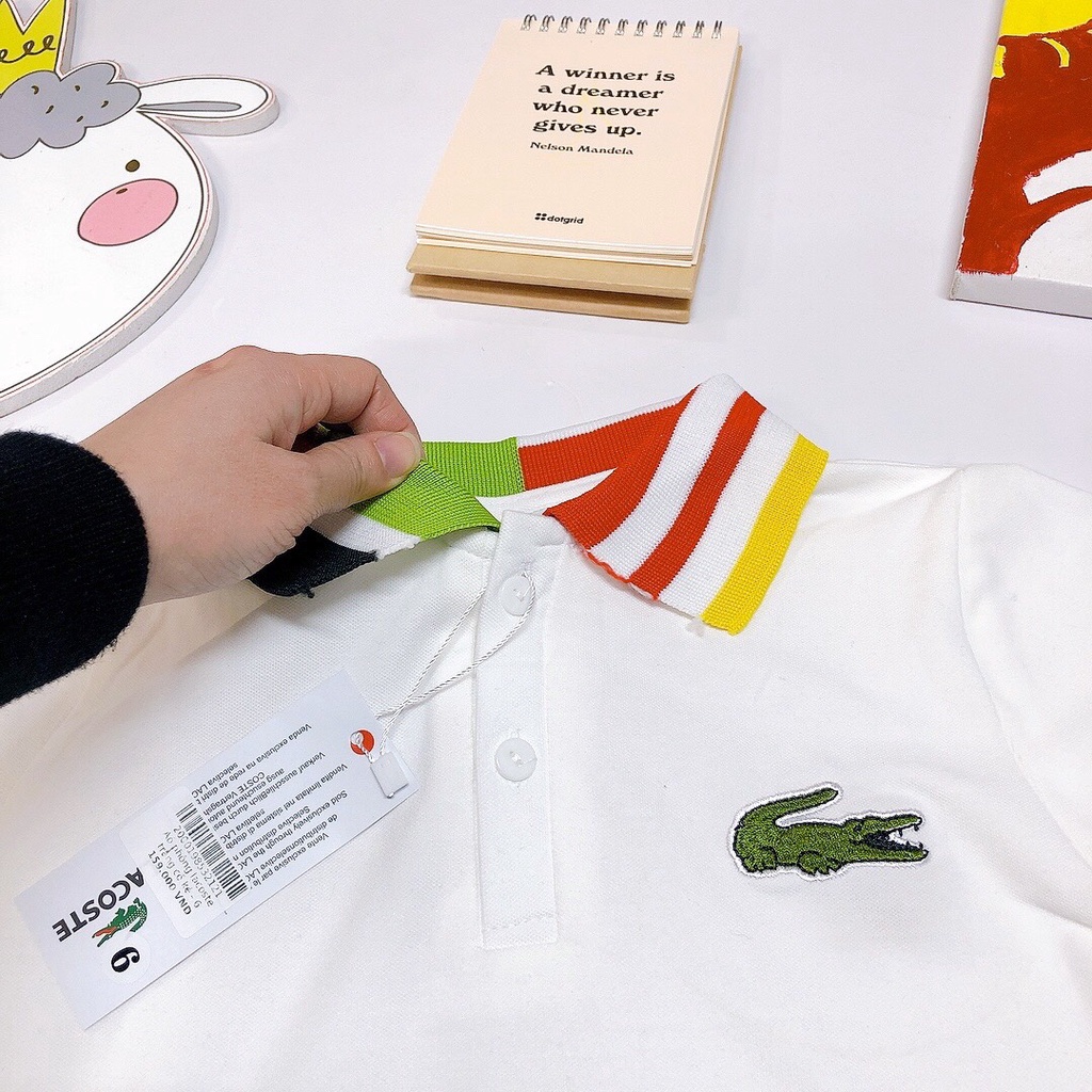 Áo phông lacoste trắng cổ kẻ