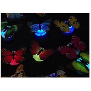 Đèn Led trang trí giáng sinh hình bướm E003