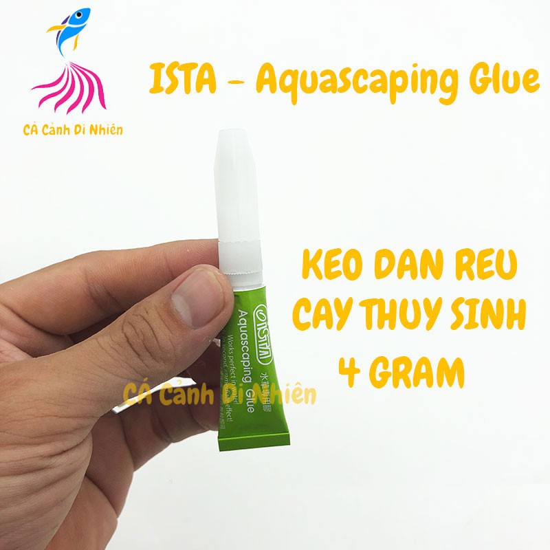 Keo dán rêu, ráy 4 Gram ISTA-Aquascaping Glue cho hồ thủy sinh
