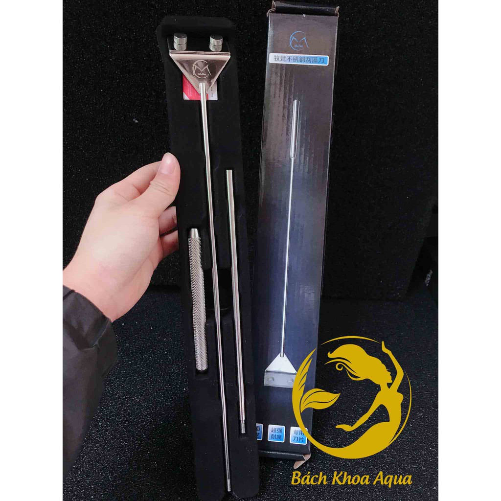 Dao cạo rêu Inox 304 chính hãng Mufan