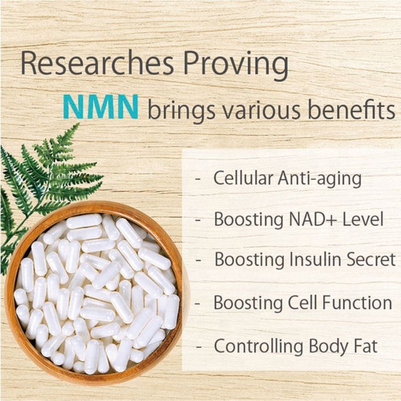Tinh Chất Chống Lão Hóa Viên Liposomal NMN 500mg Trans-Resveratrol 2200mg NAD Nicotinamide Mononucleotide B3