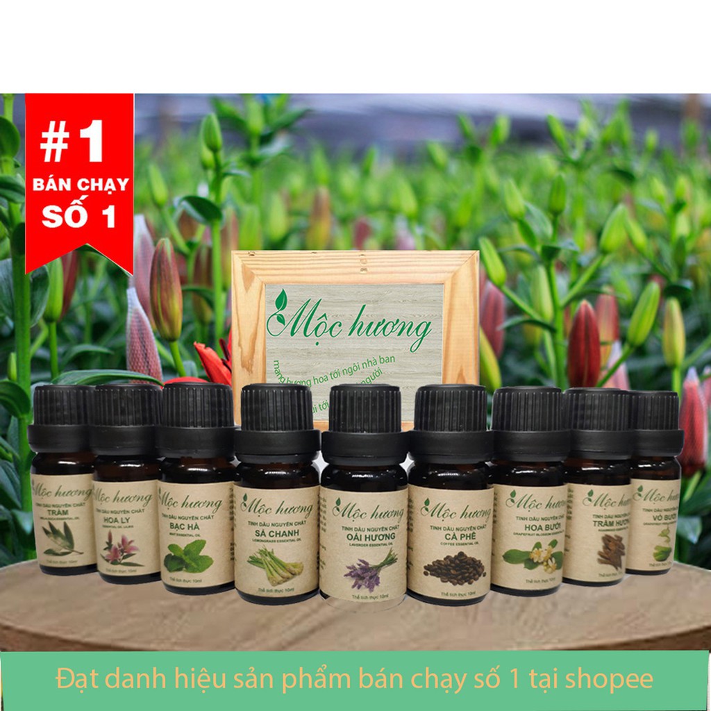 Combo 4 CHAI TINH DẦU  GỒM XÔNG HƠI SPA