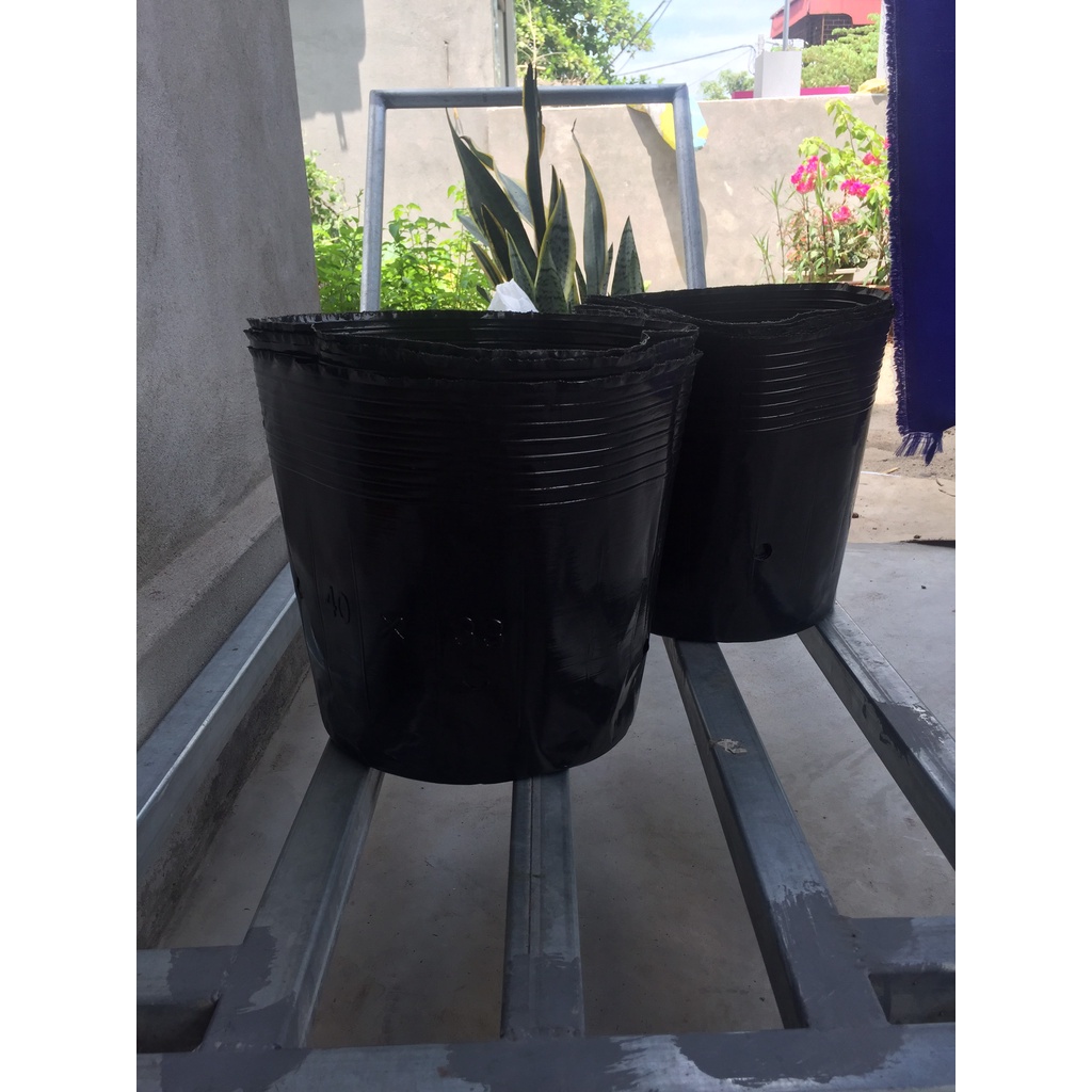 BẦU ƯƠM CÂY 40*33 ( DỊCH TRUYỀN CHO CÂY, KÍCH RỄ , MẦM CÂY XANH LÁ, LƯỚI CHE NẮNG...)