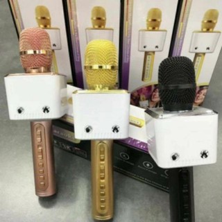 Mic hát kèm loa bluetooth karaoke SD-12