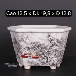 Chậu Cây Bonsai Mini Tàu