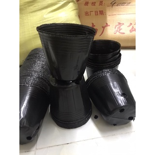 1kg Bầu ươm cây 13*12(300 cái/kg)