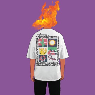 Áo Thun Stussy - High Desert Tee