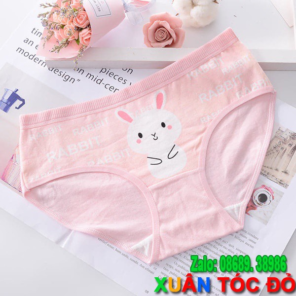 SỈ ZALO RẺ HƠN NHIỀU_ Quần Lót Thỏ Hồng Thơ Ngây N026 | WebRaoVat - webraovat.net.vn