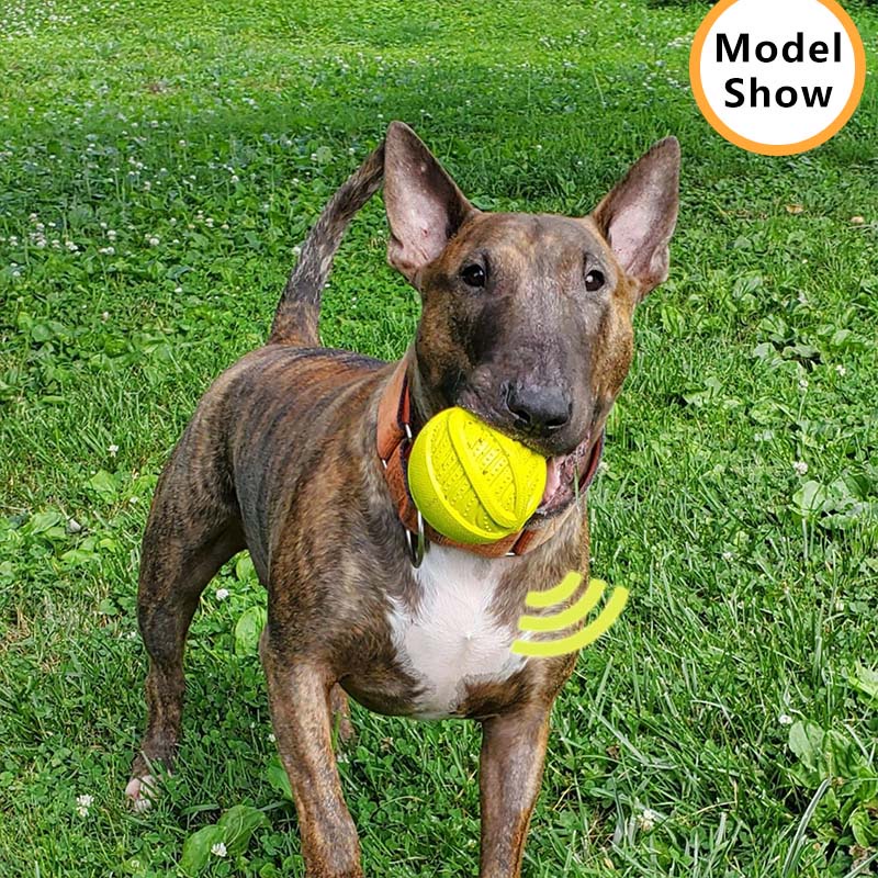 Đồ chơi bóng cao su HAMSHMOC có âm thanh huấn luyện thú cưng